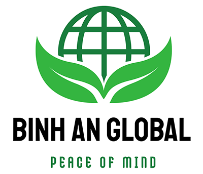 CÔNG TY CỔ PHẦN ĐẦU TƯ VÀ SẢN XUẤT BÌNH AN GLOBAL